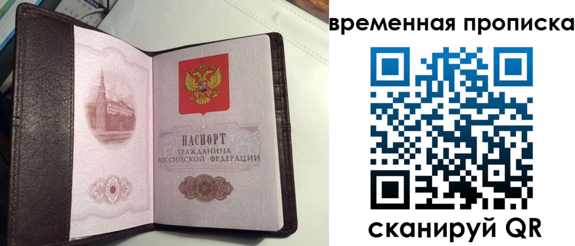 прописка 2025 в Коряжме